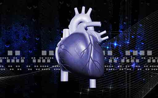 Nguyên Nhân Gây Ra Bệnh Tim Mạch và Cách Phòng Ngừa