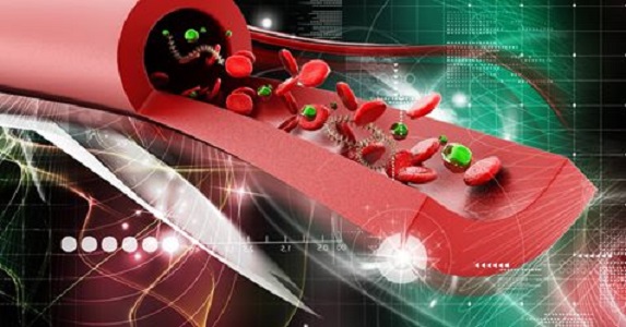 Rối Loạn Lipid Máu: Hiểu Biết Để Phòng Ngừa Biến Chứng Nguy Hiểm