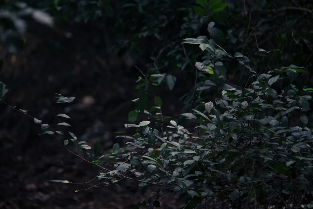 Chế độ ăn cho người rối loạn lipid máu