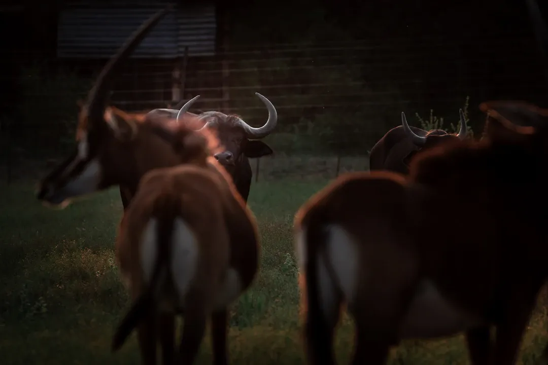 Rối loạn tiêu hóa sau ăn có nguy hiểm không?