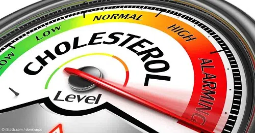 Có phải Cholesterol nào cũng gây xơ vữa động mạch?