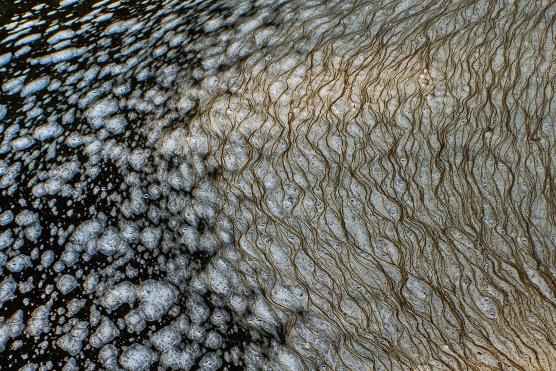 Nghiên Cứu Mới: Viêm Âm Đạo Do Vi Khuẩn Có Thể Lây Qua Đường Tình Dục? | BS. Hậu