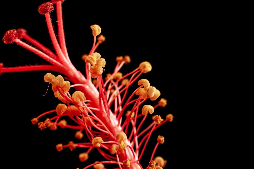 Ung Thư Ruột Thừa Gia Tăng ở Người Trẻ: Gen X và Millennials Nguy Cơ Cao Hơn